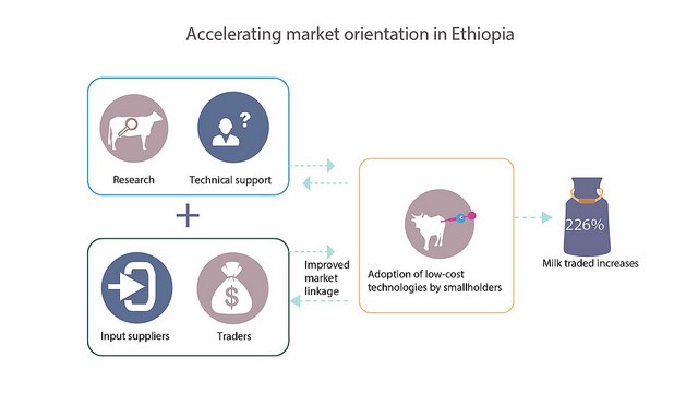 Achieving higher levels of productivity and market participation through technological innovation, Ethiopia (Photo credit: ILRI/Bethlehem Alemu and Apollo Habtamu)