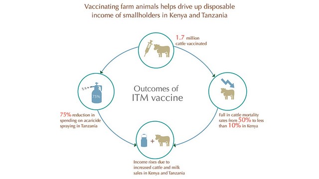 Combating food insecurity and malnutrition through research to raise livestock productivity levels (Photo credit: ILRI/Bethlehem Alemu and Apollo Habtamu)
