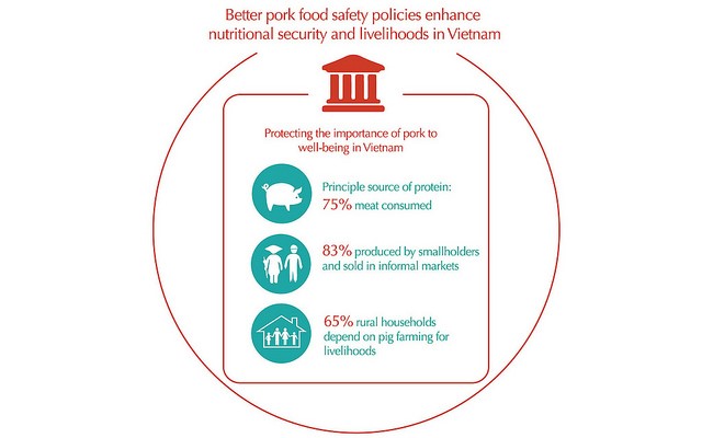 Enhancing food safety through the implementation of early warning and risk reduction systems, Vietnam (Photo credit: ILRI/Bethlehem Alemu and Apollo Habtamu)