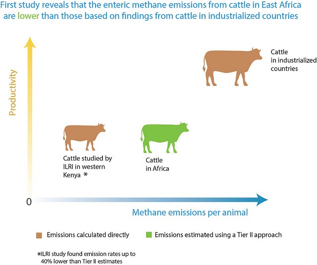 Ensuring livestock development is compatible with effective climate change-related planning and management (Photo credit: ILRI/Bethlehem Alemu and Apollo Habtamu)